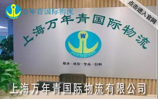 上海國(guó)際集裝箱海運(yùn)代理 裝卸搬運(yùn)的關(guān)鍵作用與專業(yè)實(shí)踐